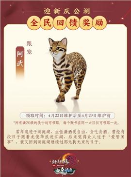 最新的天龙八部私服